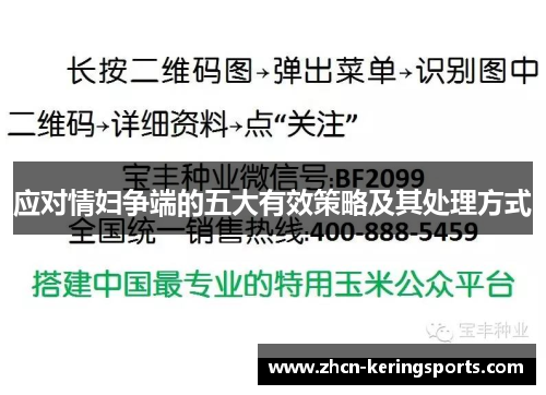 应对情妇争端的五大有效策略及其处理方式